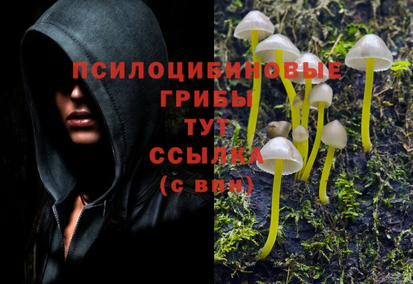 тгк Беломорск