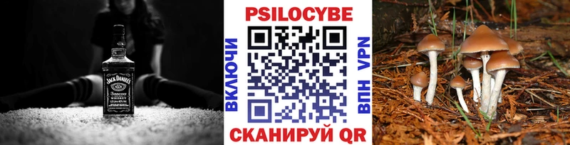 Галлюциногенные грибы мицелий  сколько стоит  Электросталь 